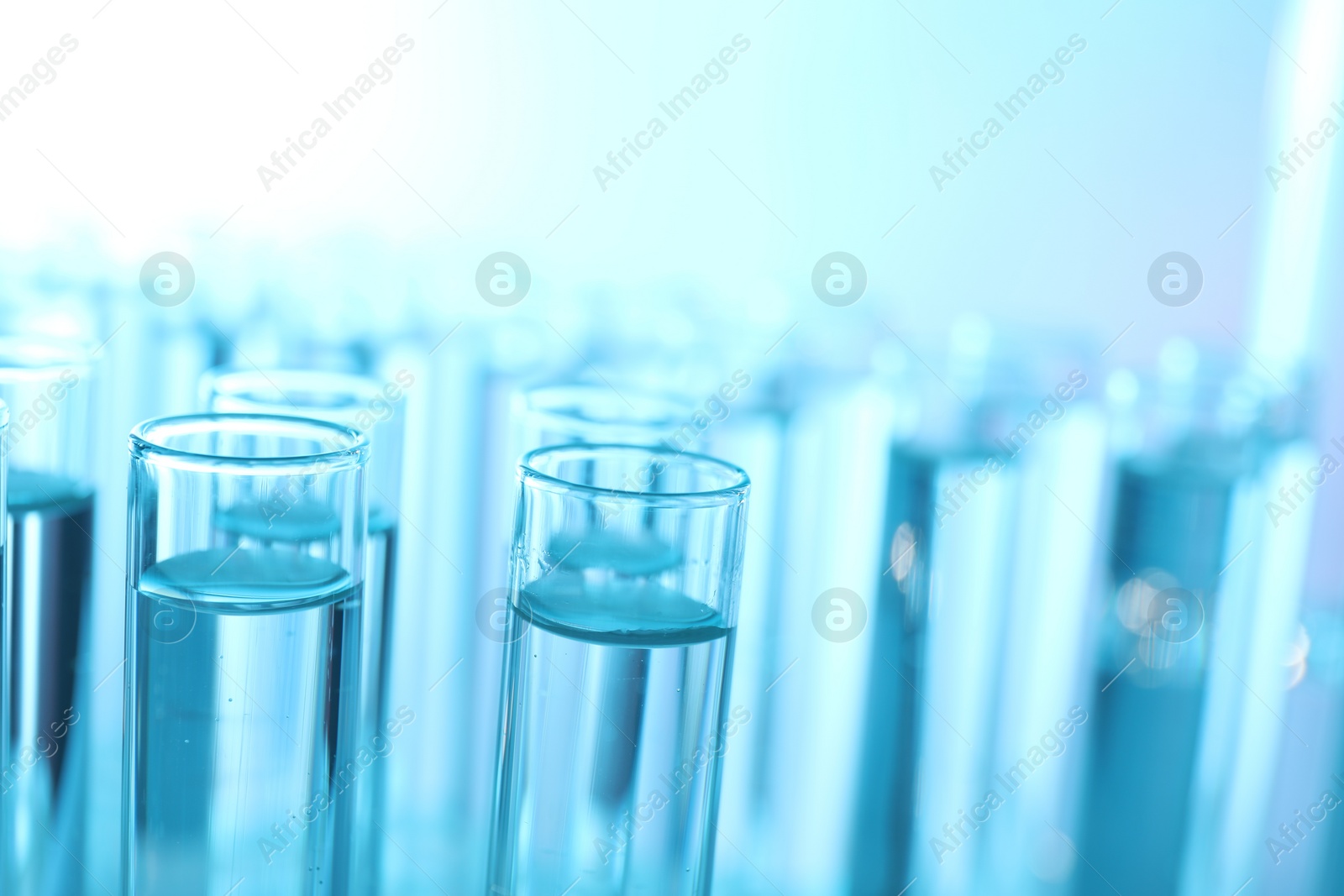 Photo of Many glass test tubes on light blue background, closeup