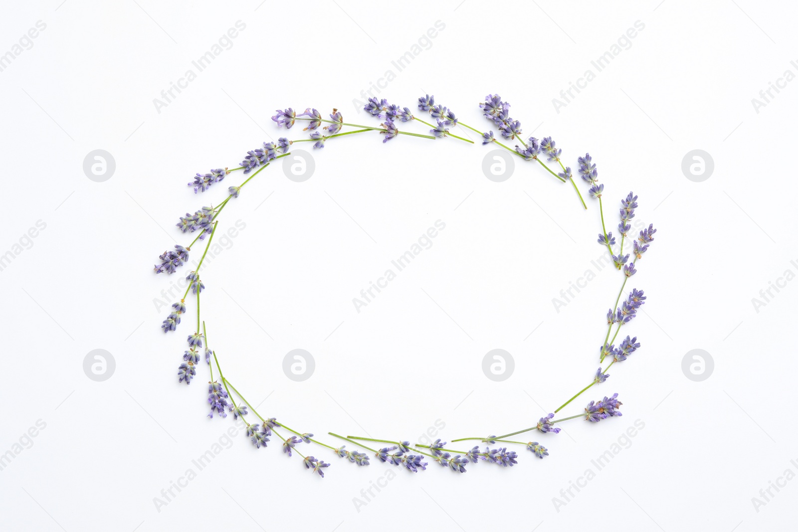 Photo of Frame with lavender flowers on white background, flat lay. Space for text