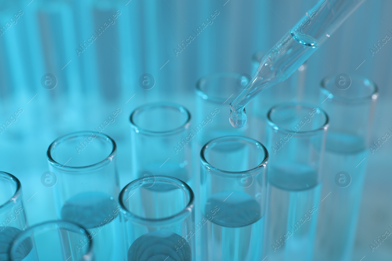 Photo of Laboratory analysis. Dripping liquid from pipette into glass test tube on light blue background, closeup