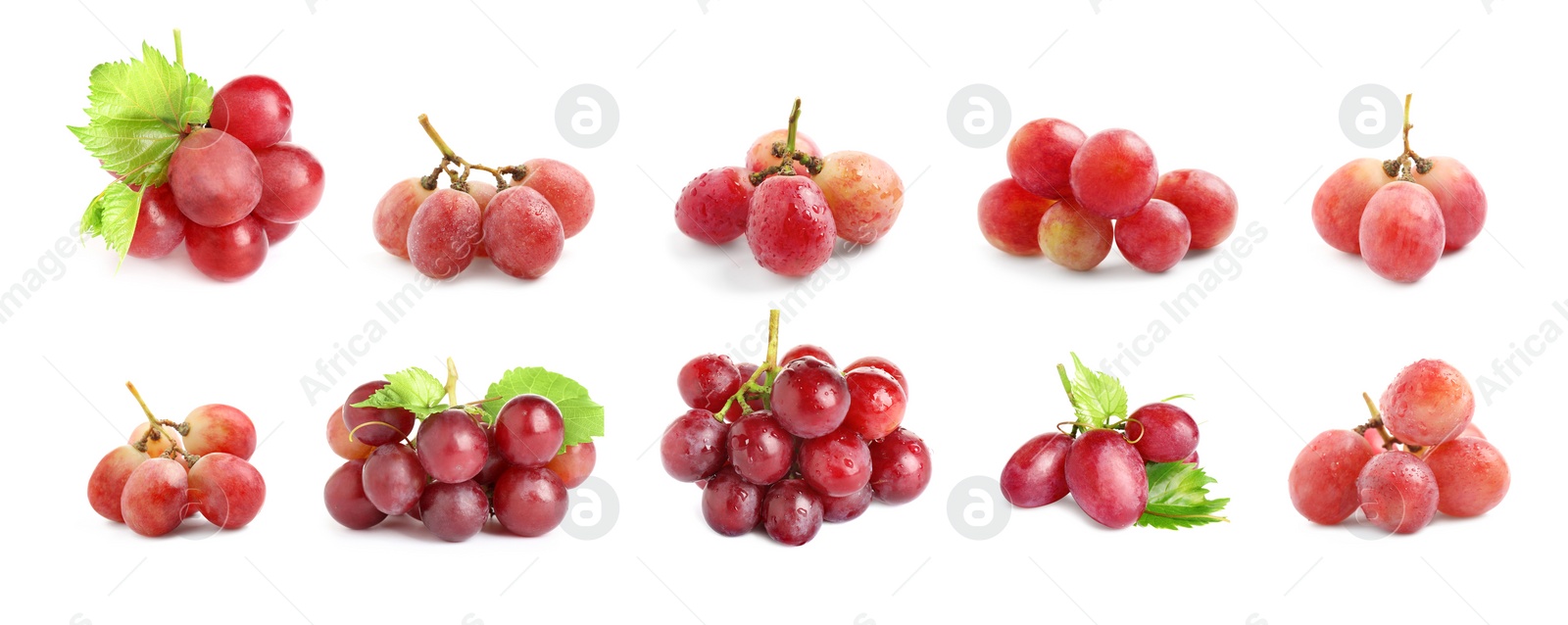 Image of Set with fresh ripe grapes on white background. Banner design