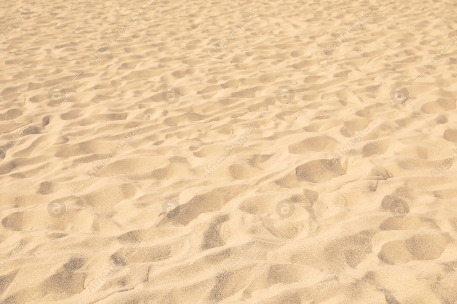 Photo of Golden beach sand on sunny day as background