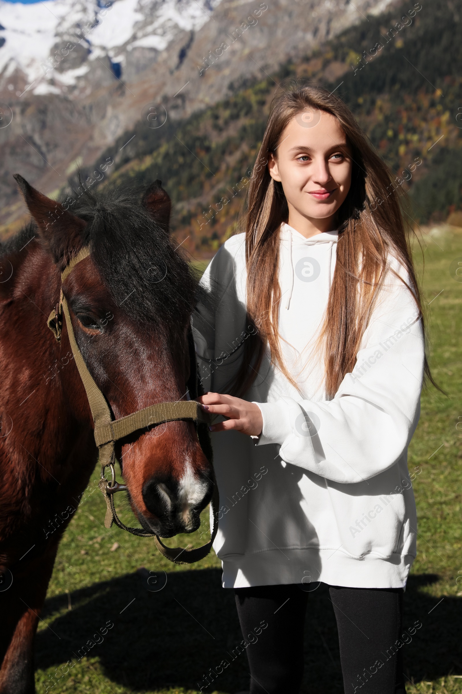 Photo of Young woman stroking horse in mountains on sunny day. Beautiful pet
