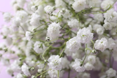 Photo of Beautiful gypsophila flowers on violet background, closeup view