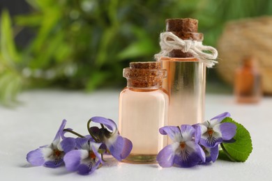 Photo of Beautiful wood violets and essential oil on white table, space for text. Spring flowers