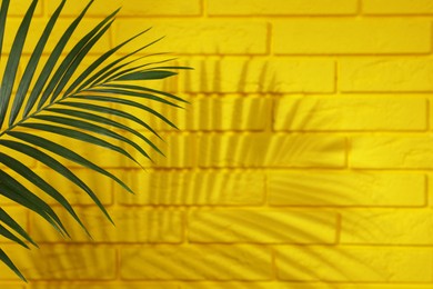 Shadow cast by tropical palm leaf on yellow brick wall, space for text