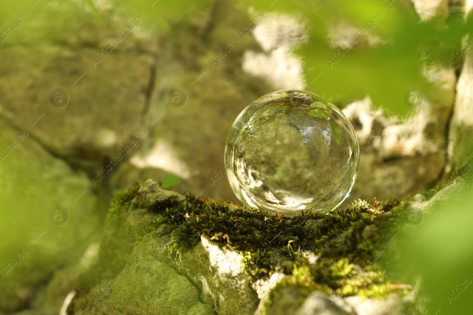Photo of Beautiful forest, overturned reflection. Crystal ball on stone surface outdoors