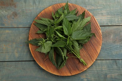 Photo of Bunch of fresh stinging nettles on blue wooden table, top view