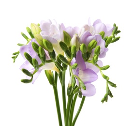 Photo of Bouquet of fresh freesia flowers isolated on white