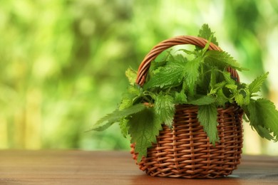 Fresh nettle in wicker basket on wooden table outdoors, space for text