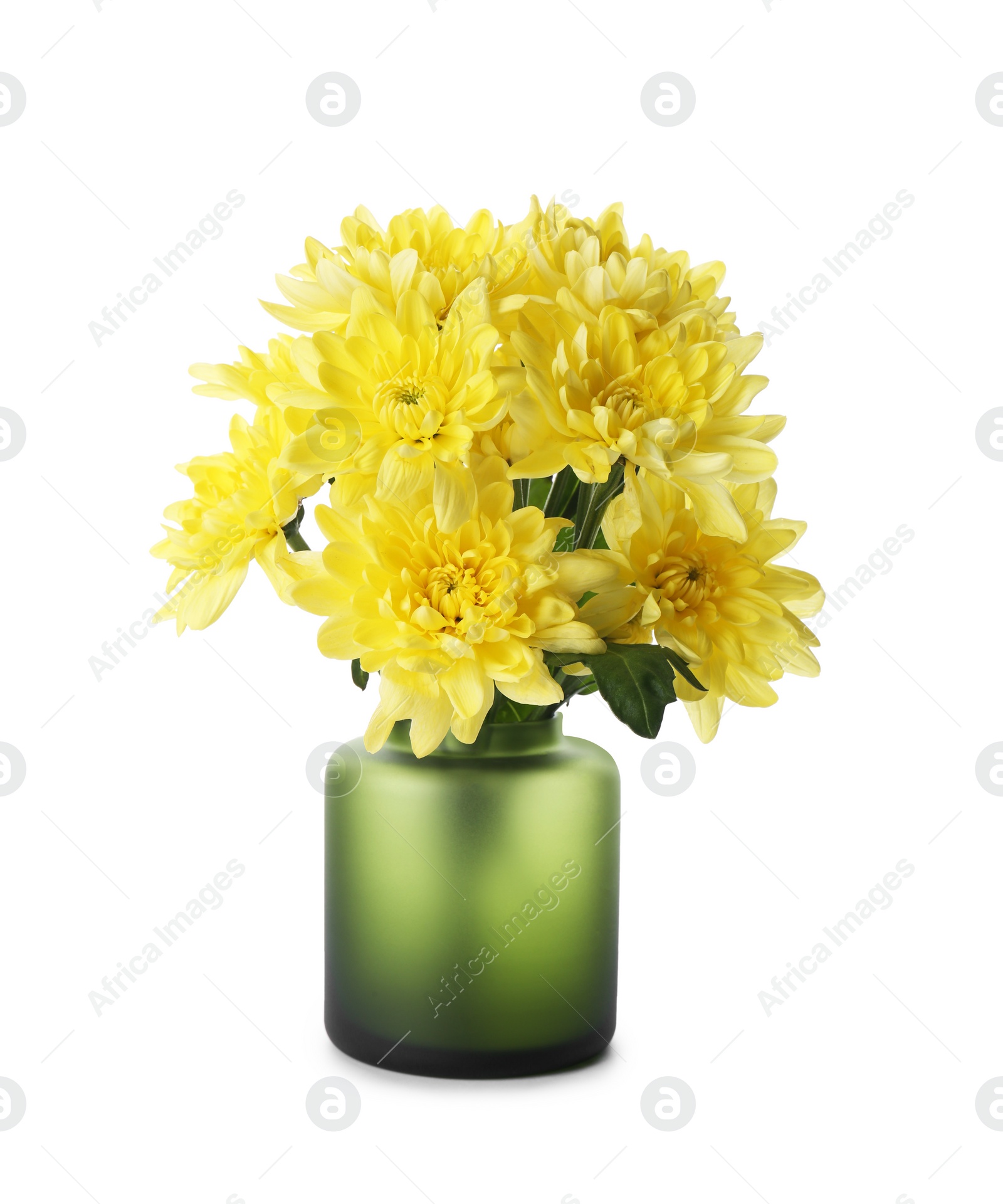 Photo of Beautiful vase with yellow flowers isolated on white
