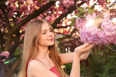 Beautiful teenage girl near blossoming sakura tree in park on sunny day
