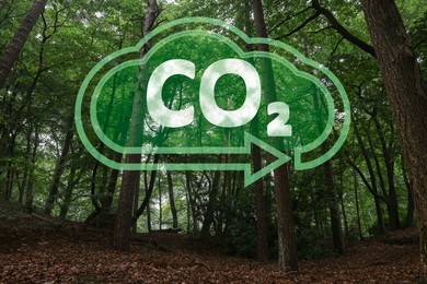 Concept of clear air. CO2 inscription in illustration of cloud with arrow and beautiful forest, low angle view