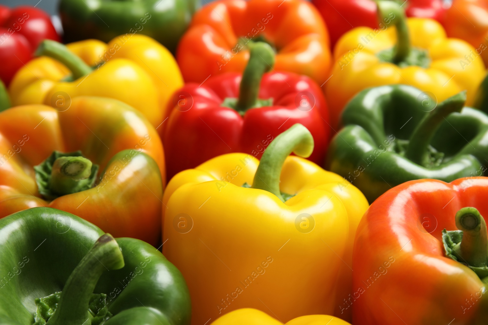 Photo of Colorful paprika peppers as background, closeup