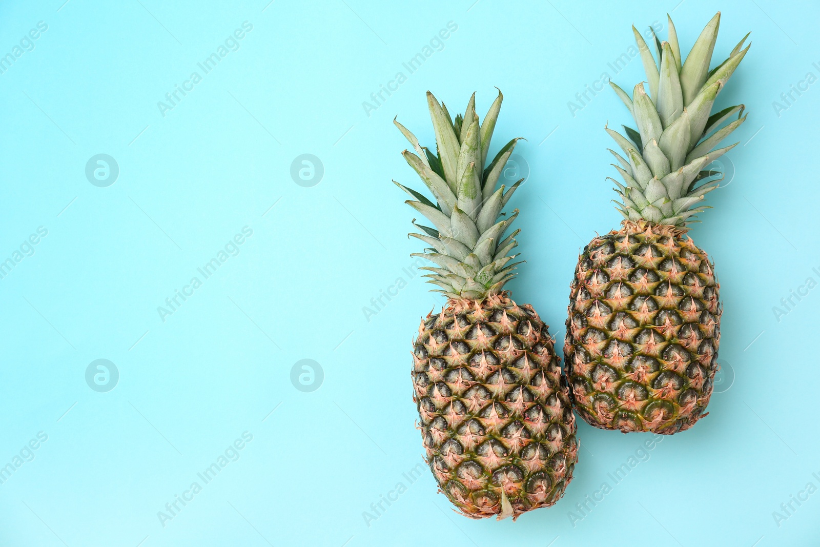 Photo of Fresh pineapples on color background