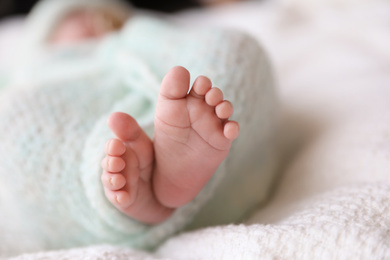 Photo of Newborn baby lying on plaid, closeup of legs