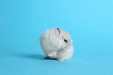 Cute funny pearl hamster on light blue background