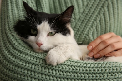 Photo of Woman holding adorable long haired cat, closeup