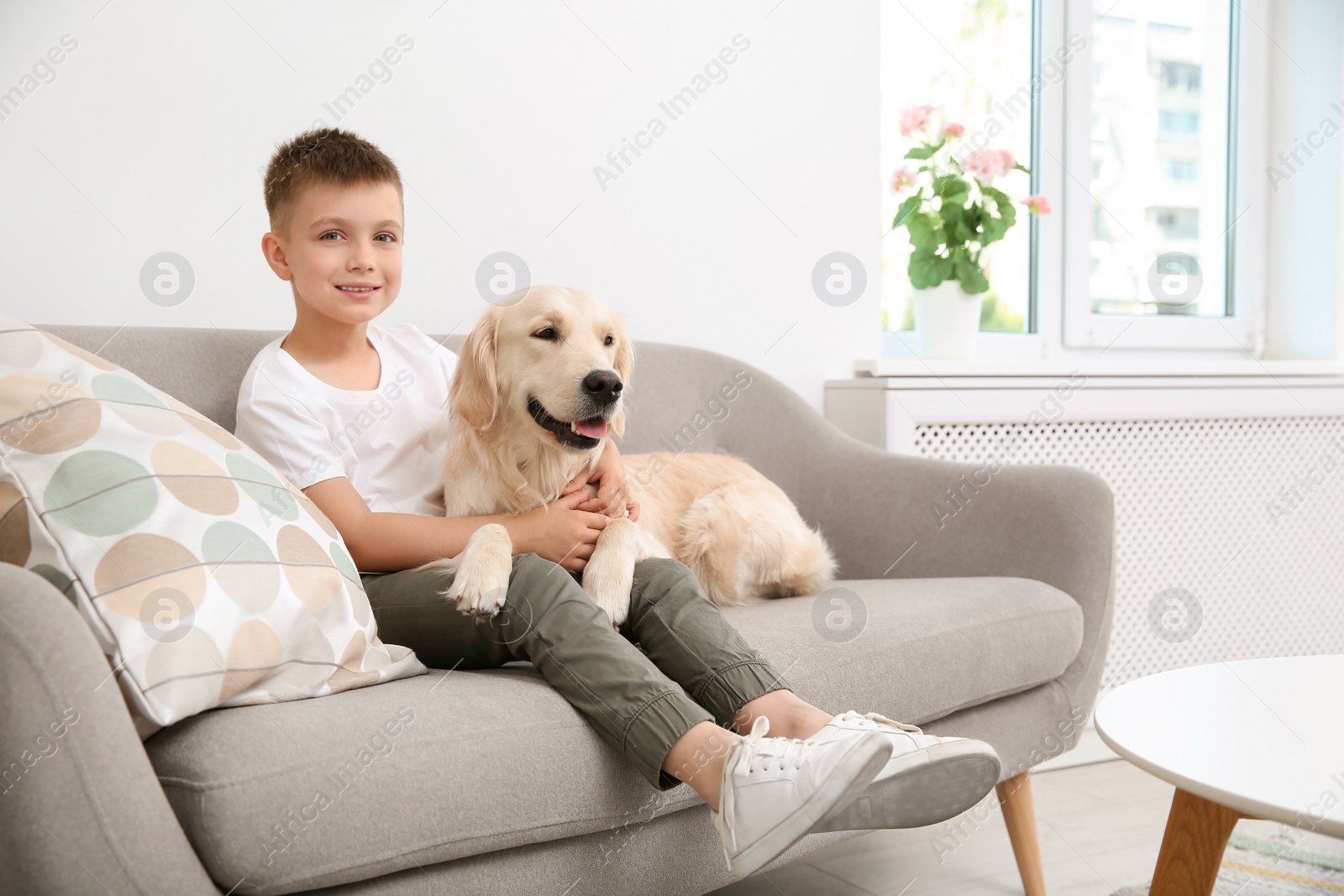 Photo of Cute little child with his pet on sofa at home