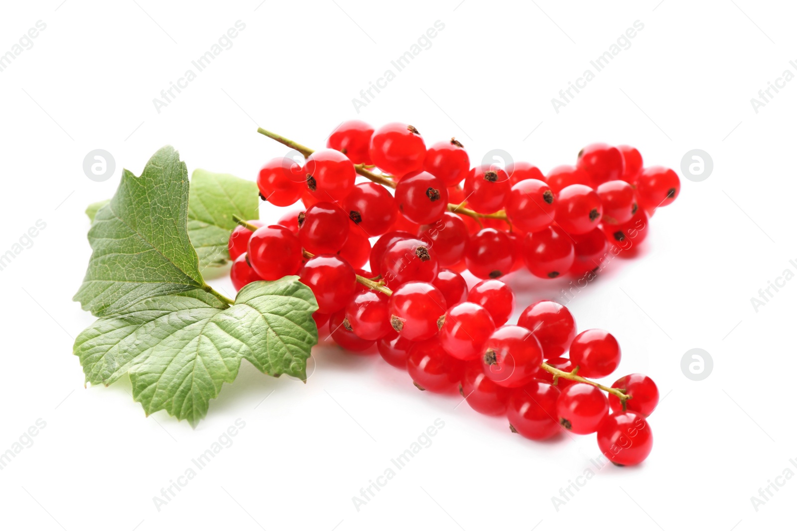 Photo of Delicious ripe red currants isolated on white