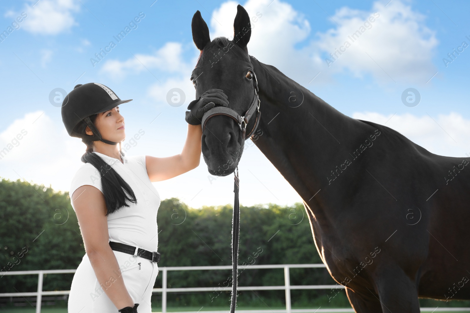 Photo of Young woman in horse riding suit and her beautiful pet outdoors on sunny day