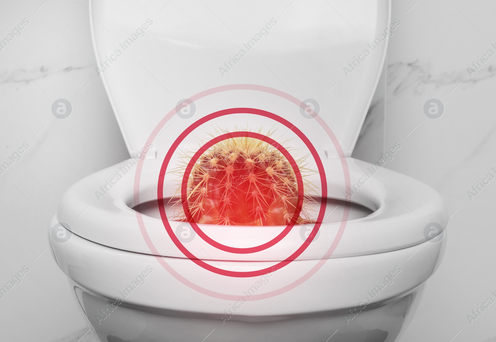 Image of Hemorrhoid concept. Toilet bowl with cactus near marble wall