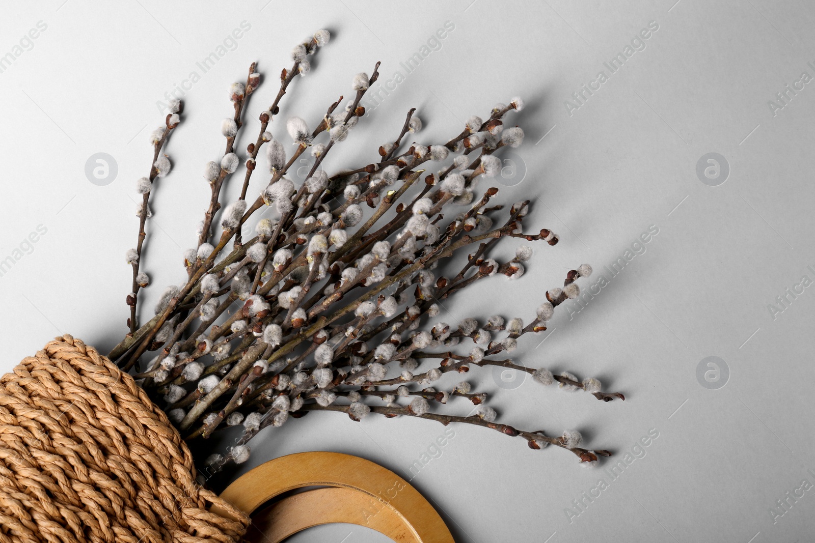 Photo of Beautiful blooming willow branches in woven bag on light grey background, top view