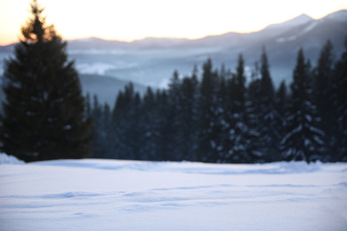 Photo of Snow and beautiful view of conifer forest on winter day