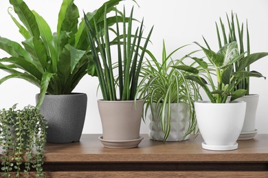 Photo of Green houseplants in pots on wooden chest of drawers near white wall