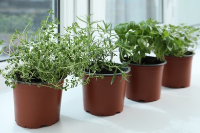 Different fresh potted herbs on windowsill indoors
