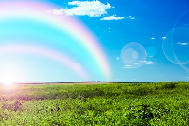 Image of Picturesque view of green meadow and beautiful rainbow in blue sky on sunny day