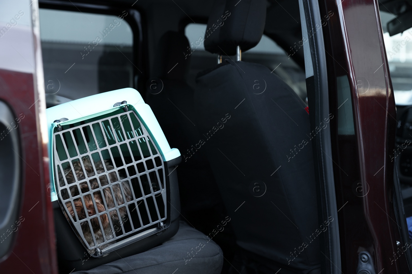 Photo of Cute dog in pet carrier travelling by car. Safe transportation