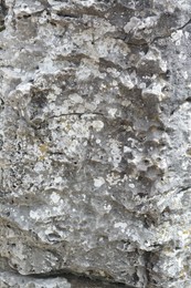 Photo of Closeup view of stone covered with lichen as background