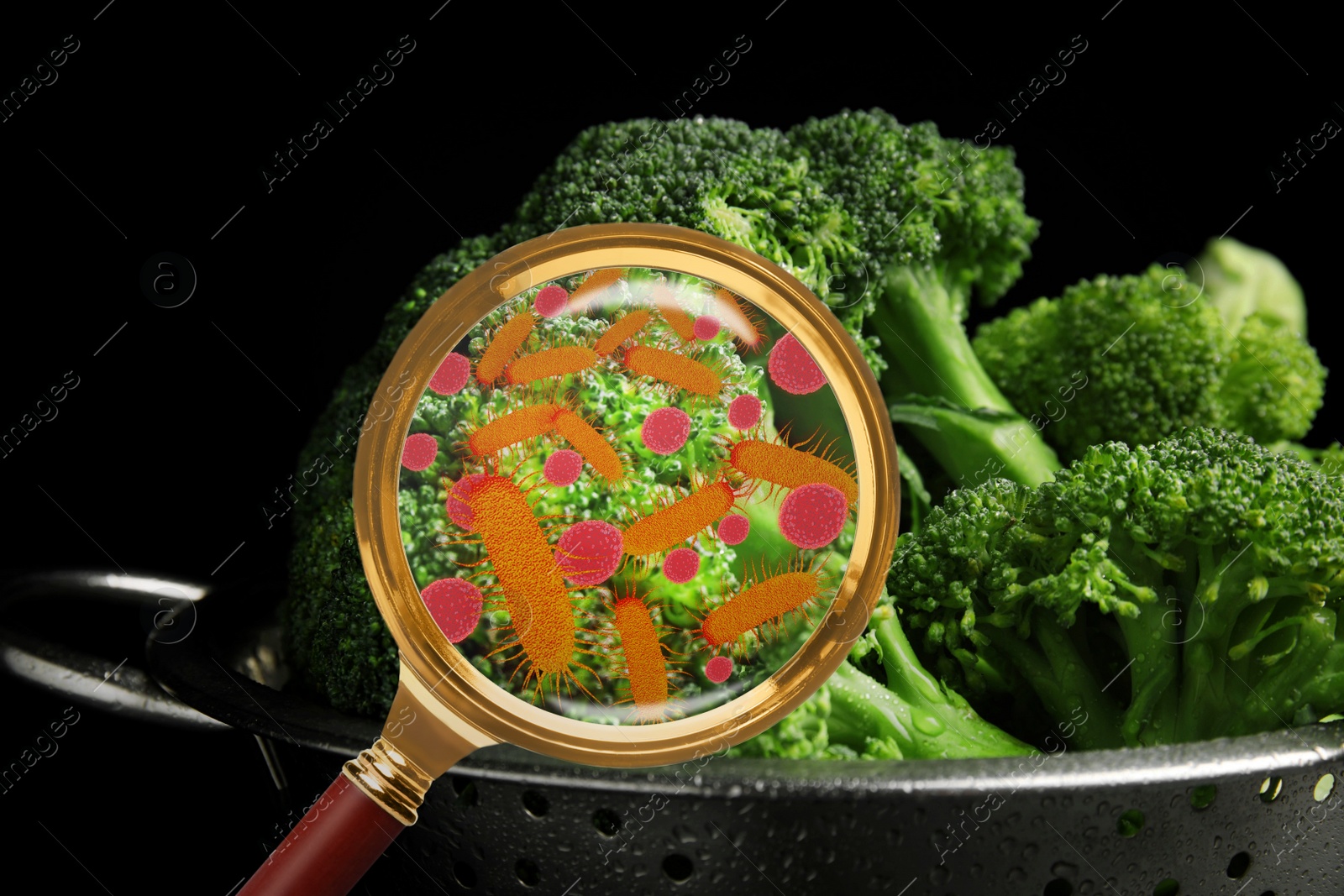 Image of Magnifying glass and illustration of microbes on broccoli. Food poisoning concept  
