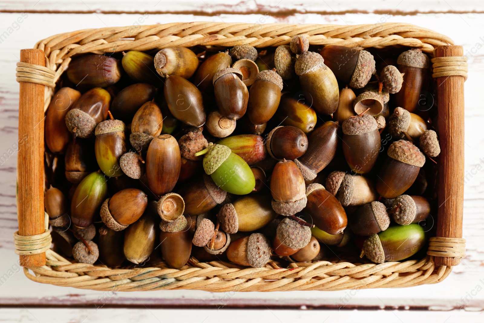 Photo of Wicker basket with acorns on white wooden table, top view