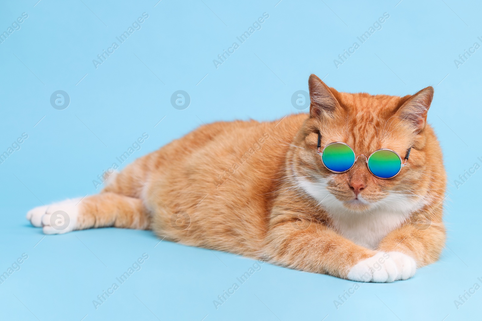 Photo of Cute ginger cat in stylish sunglasses lying on light blue background