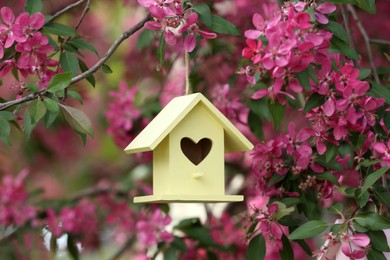 Photo of Wooden bird house on blossoming tree outdoors