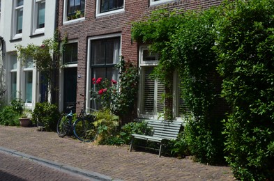 Photo of City street with beautiful buildings, bench and blooming plants