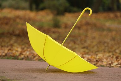 Photo of Autumn atmosphere. Open yellow umbrella in park