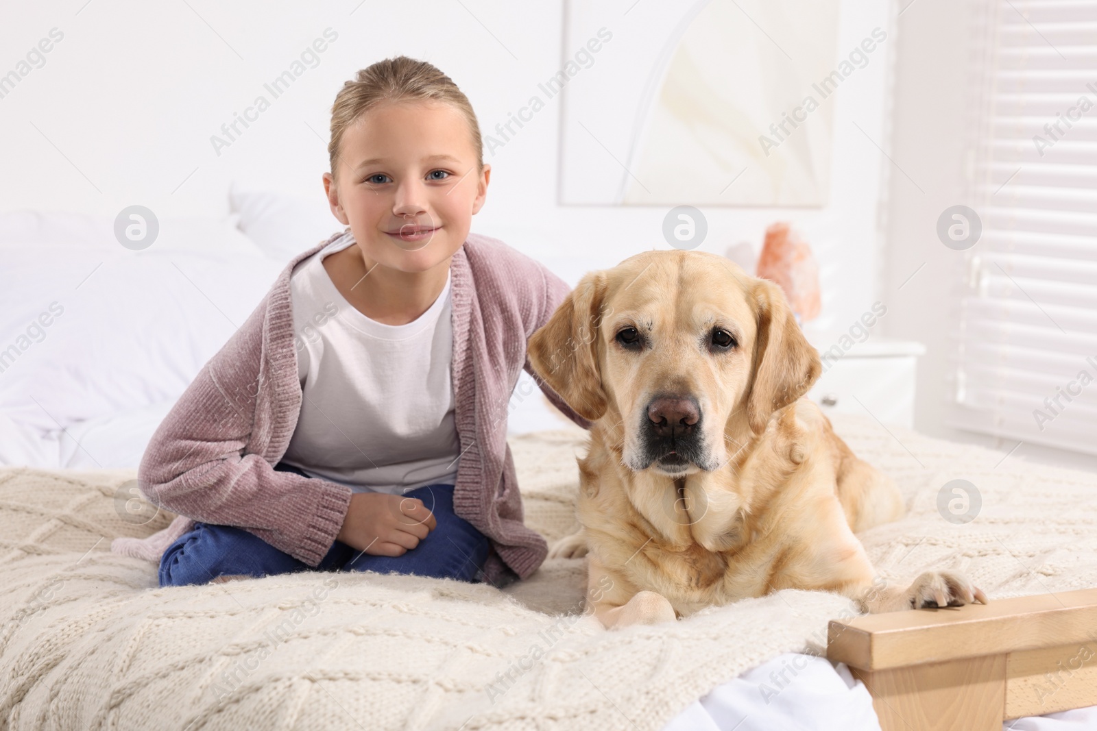 Photo of Cute child with her Labrador Retriever on bed at home. Adorable pet