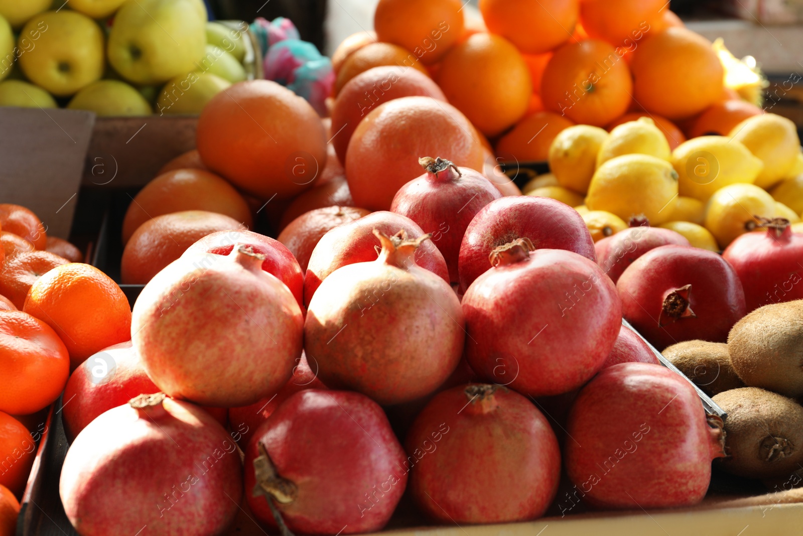 Photo of Fresh ripe fruits on counter at wholesale market