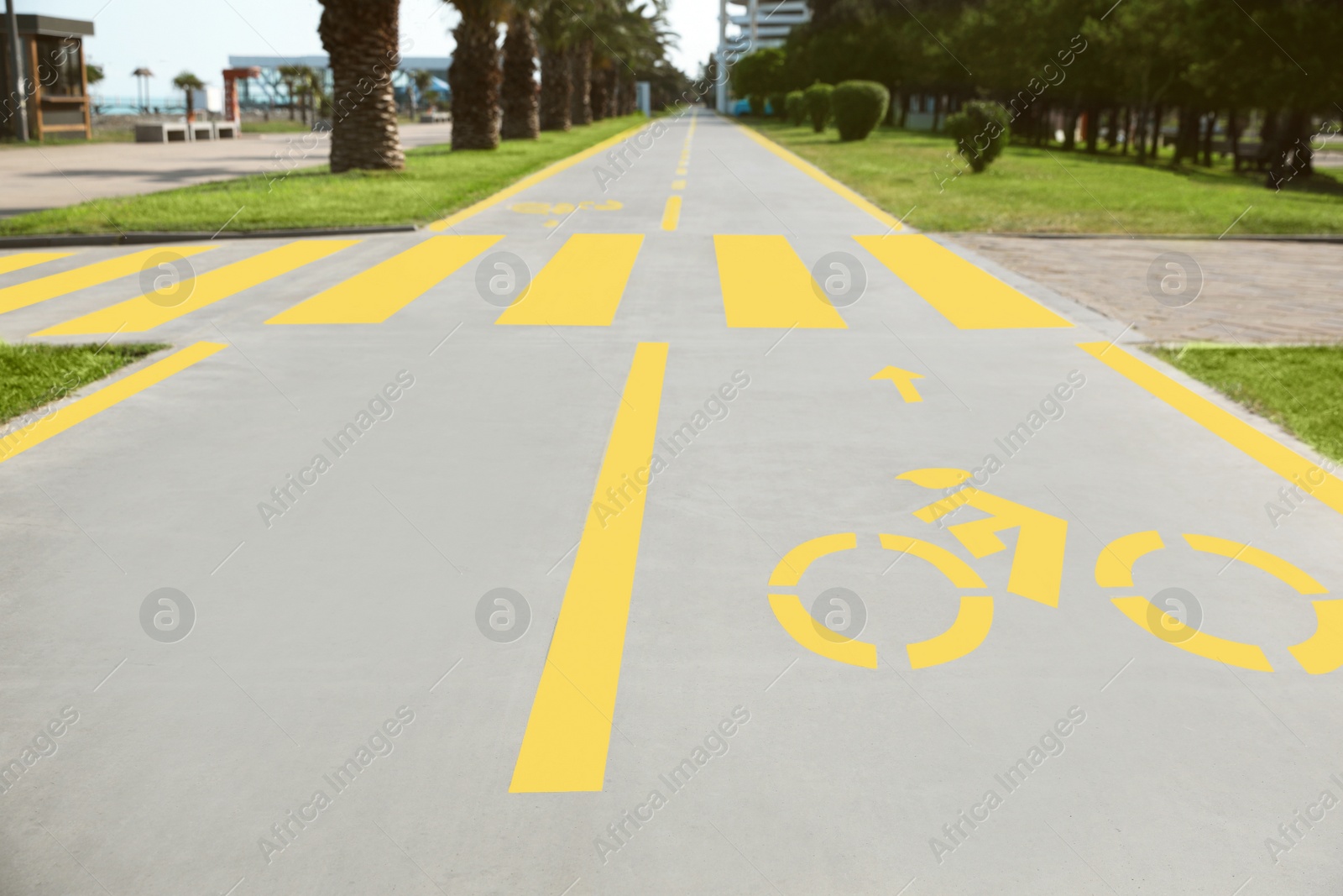 Photo of Bike lane with painted yellow bicycle sign and arrow near pedestrian crossing