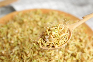 Photo of Wooden spoon with sprouted green buckwheat over plate, closeup