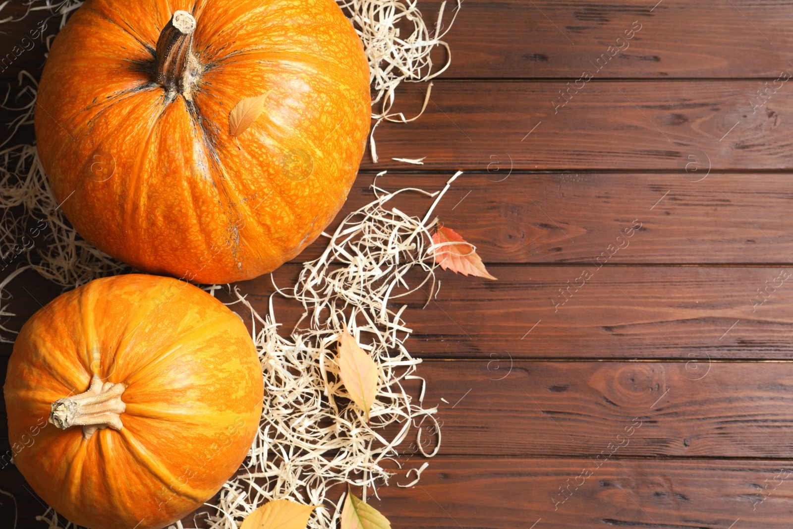 Photo of Flat lay composition with pumpkins and space for text on wooden background. Autumn holidays