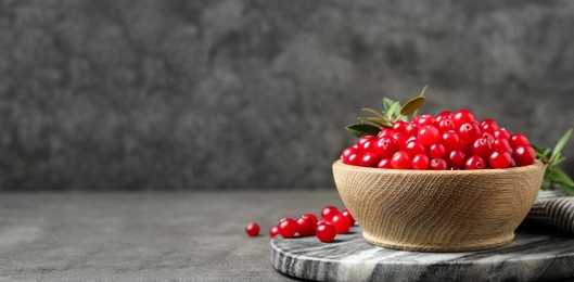 Image of Tasty ripe cranberries on grey table, space for text. Banner design