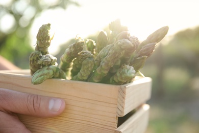 Photo of Man holding wooden crate with fresh raw asparagus outdoors, closeup