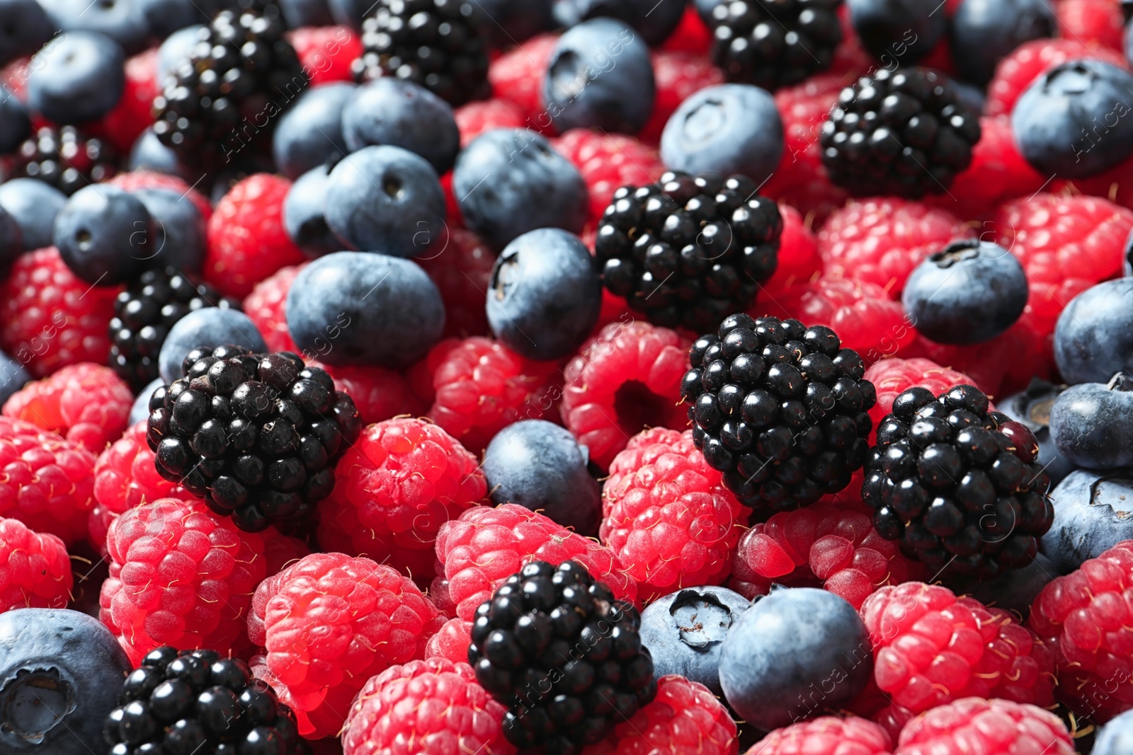 Photo of Raspberries, blackberries and blueberries as background