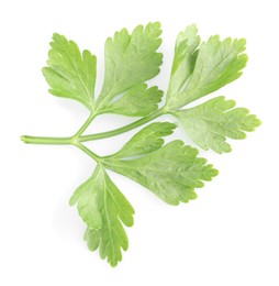 Photo of Sprig of fresh green parsley leaves isolated on white, top view