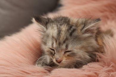 Photo of Cute kitten sleeping on pink fuzzy rug