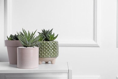Photo of Beautiful Haworthia and Aloe in pots on white table, space for text. Different house plants