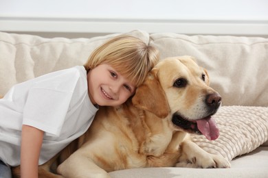 Cute little child with Golden Retriever on sofa at home. Adorable pet